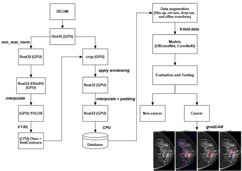 A Comprehensive Review on Breast Cancer Detection  .